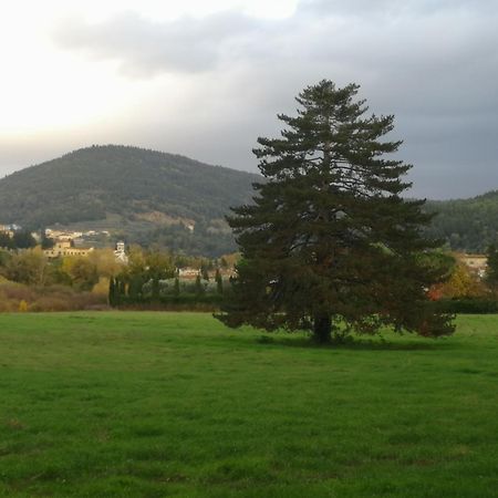 Open Space Nel Parco Con Parcheggio Gratuito Флоренция Екстериор снимка