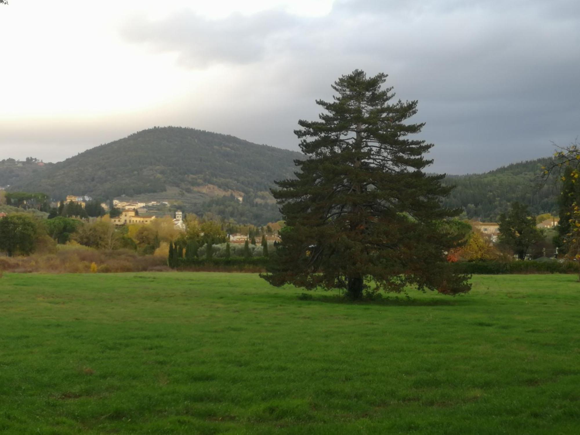 Open Space Nel Parco Con Parcheggio Gratuito Флоренция Екстериор снимка